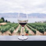 Benefici del vino rosso per la salute