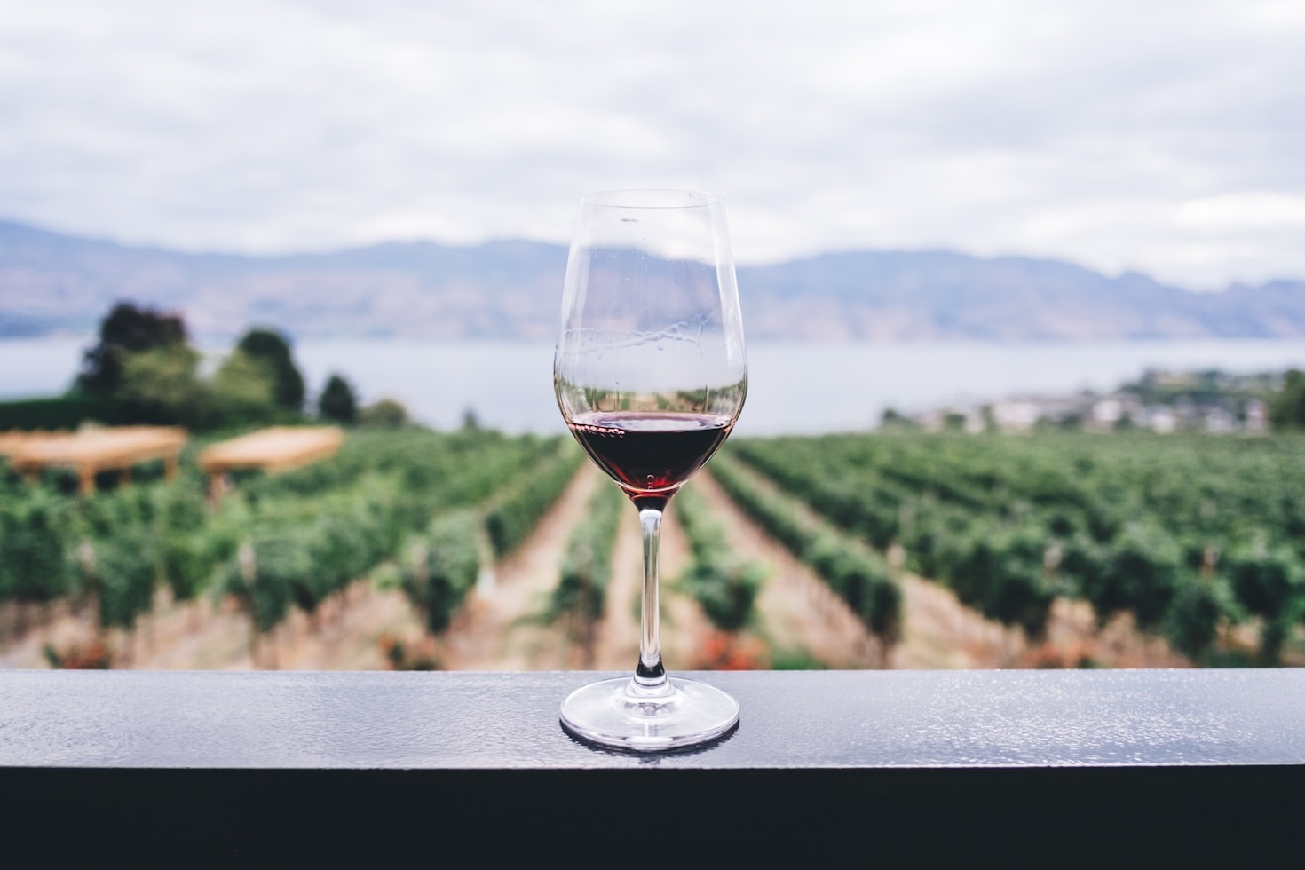 Benefici del vino rosso per la salute